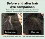 Japanese Long Lasting Natural Hair Dye Shampoo ( Buy 1 Get 1 Free )🔥🔥